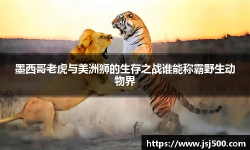 K1体育官方网站