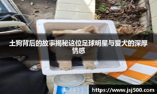 K1体育官方网站