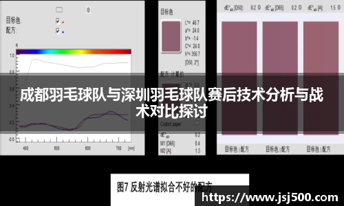 成都羽毛球队与深圳羽毛球队赛后技术分析与战术对比探讨
